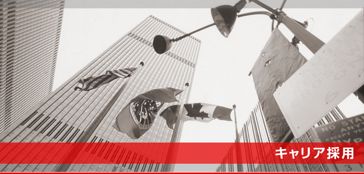 �L�����A�̗p